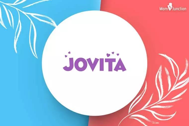 Jovita Stylish Wallpaper