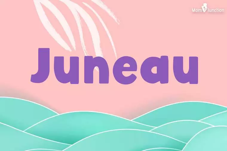 Juneau Stylish Wallpaper