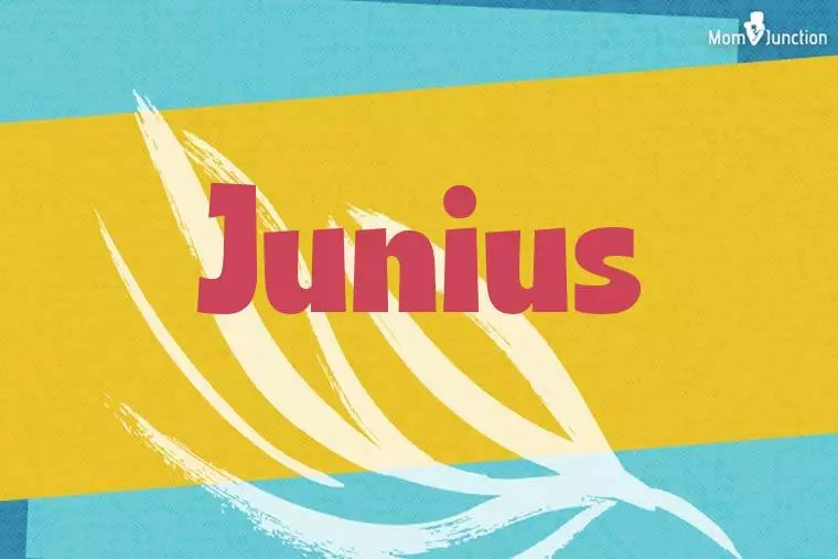 Junius Stylish Wallpaper