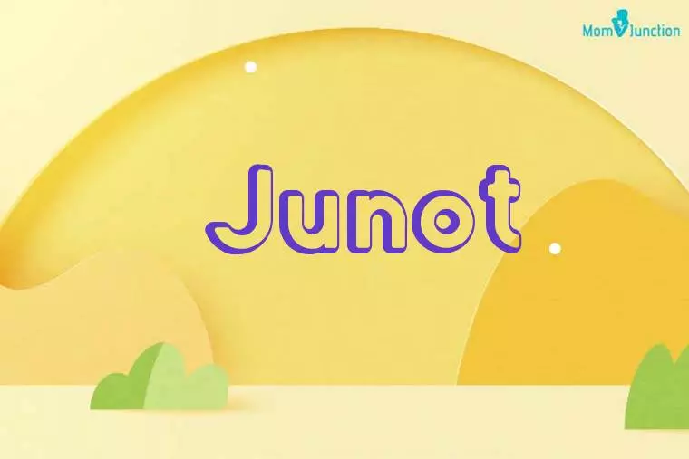 Junot 3D Wallpaper