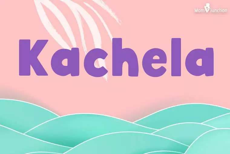 Kachela Stylish Wallpaper