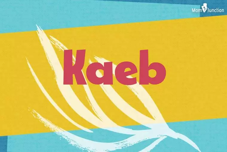 Kaeb Stylish Wallpaper