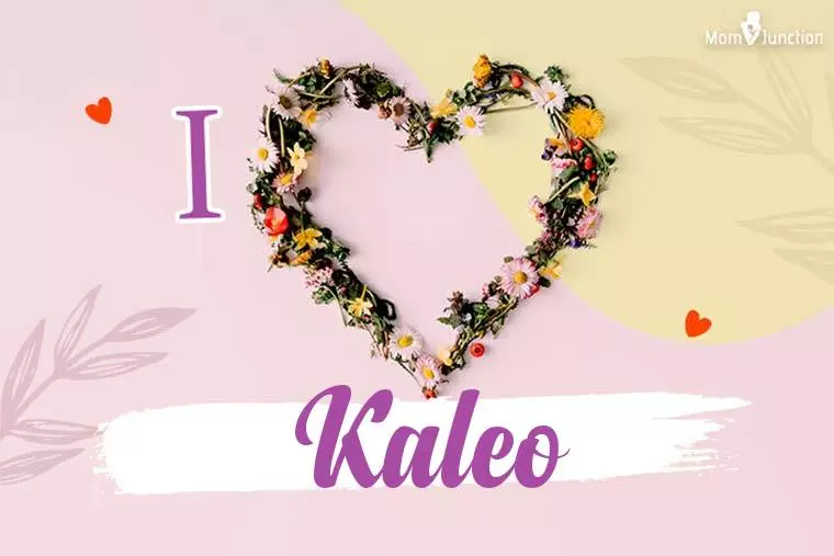 I Love Kaleo Wallpaper