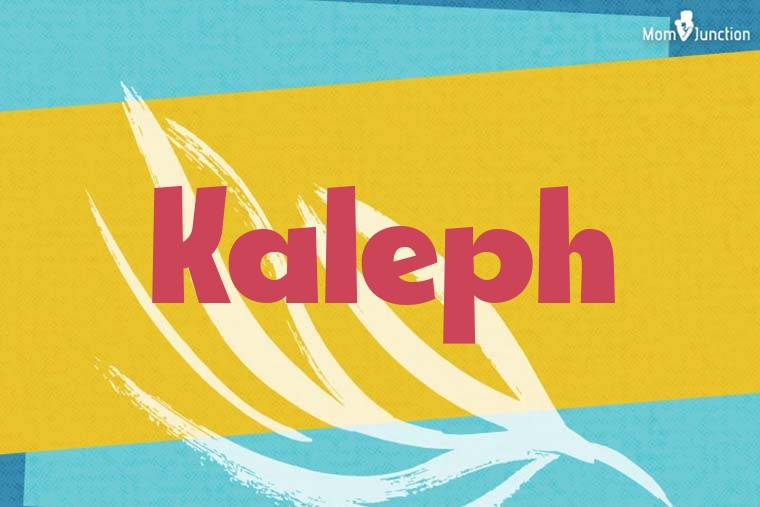 Kaleph Stylish Wallpaper