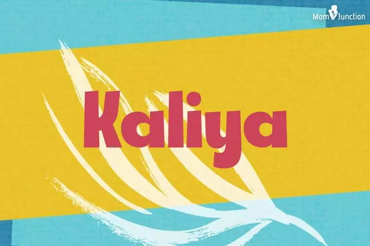 Kaliya Stylish Wallpaper