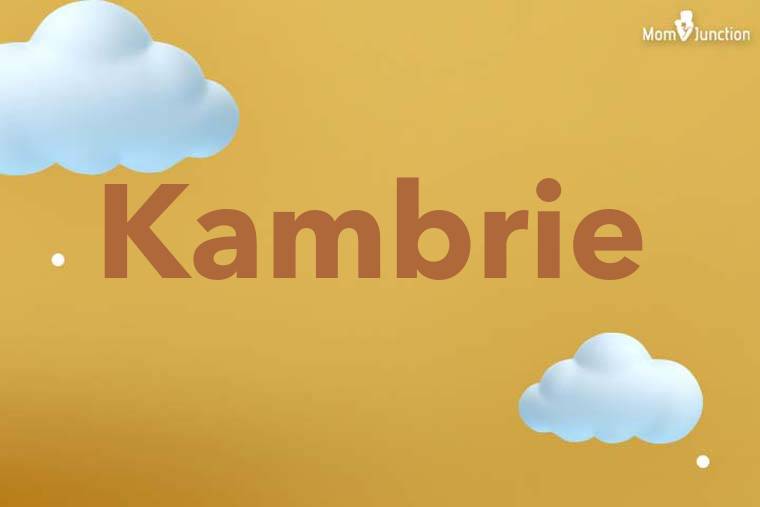 Kambrie 3D Wallpaper