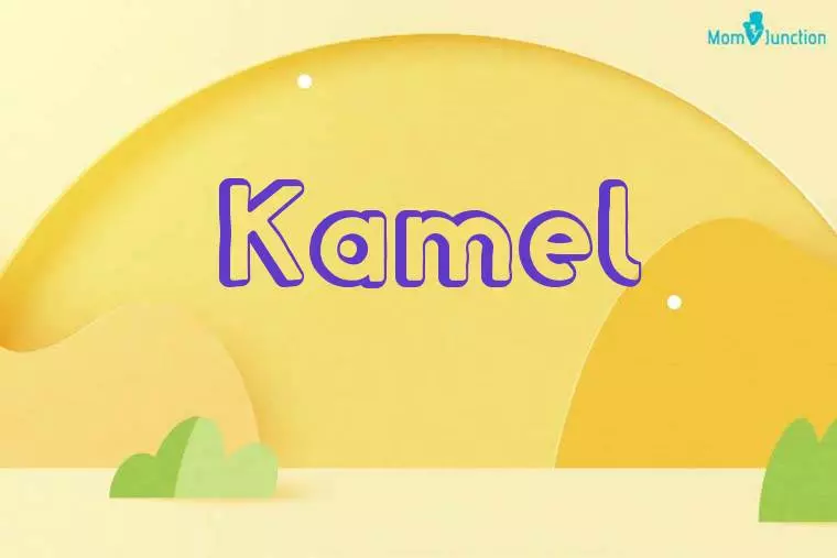 Kamel 3D Wallpaper