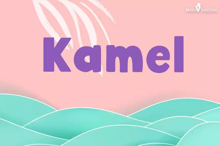 Kamel Stylish Wallpaper