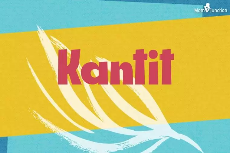 Kantit Stylish Wallpaper