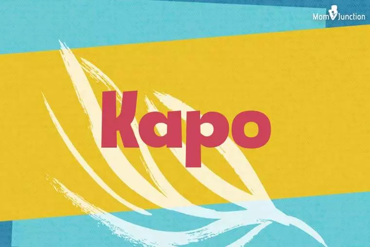 Kapo Stylish Wallpaper