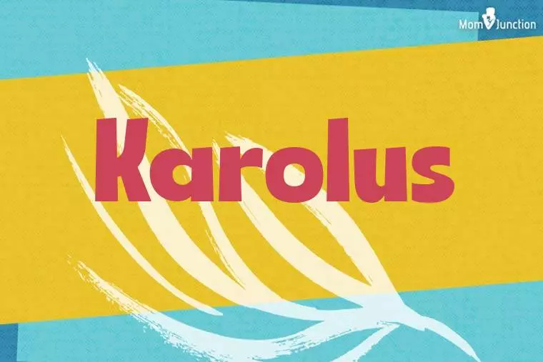 Karolus Stylish Wallpaper