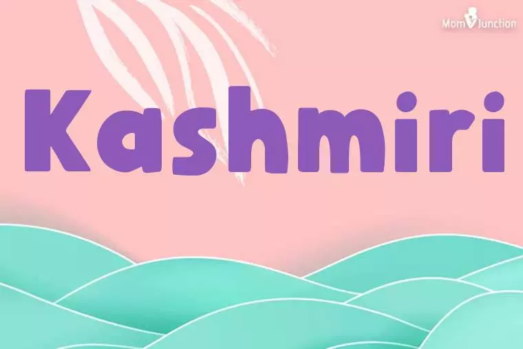 Kashmiri Stylish Wallpaper