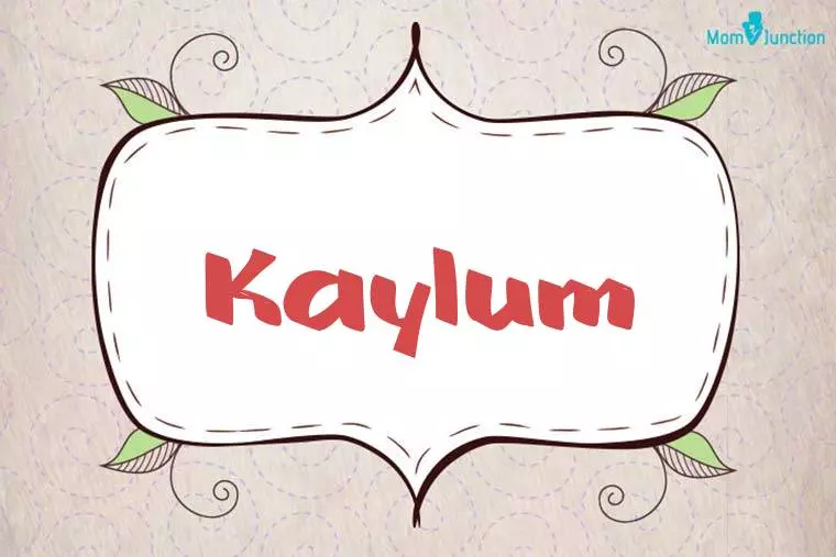 Kaylum Stylish Wallpaper