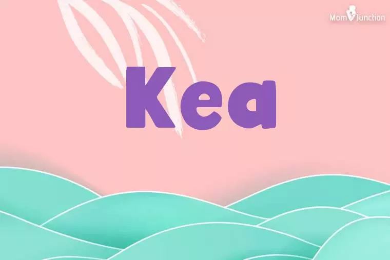 Kea Stylish Wallpaper