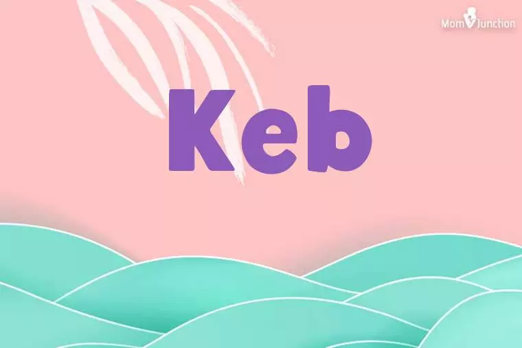 Keb Stylish Wallpaper