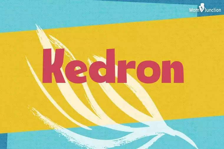 Kedron Stylish Wallpaper