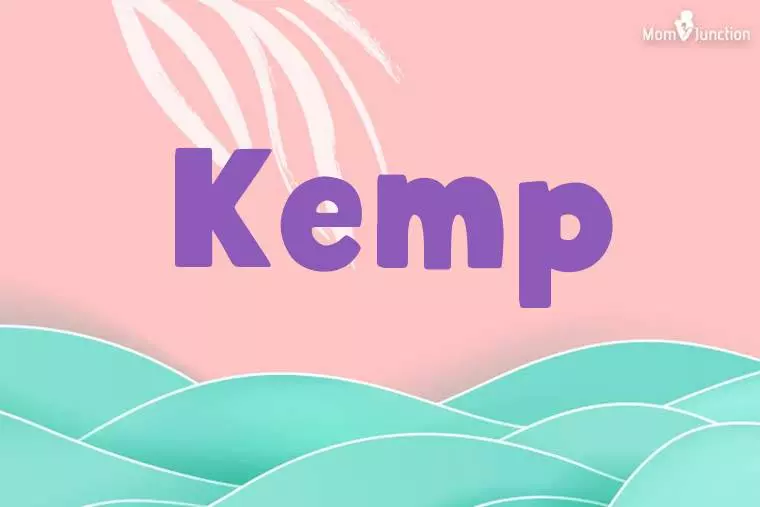 Kemp Stylish Wallpaper