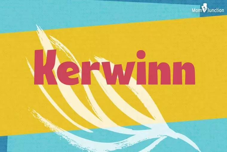 Kerwinn Stylish Wallpaper