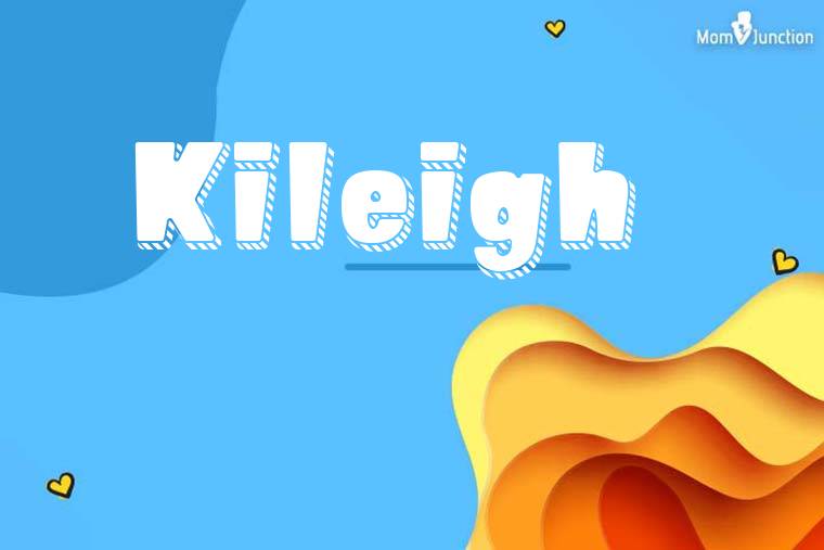 Kileigh 3D Wallpaper