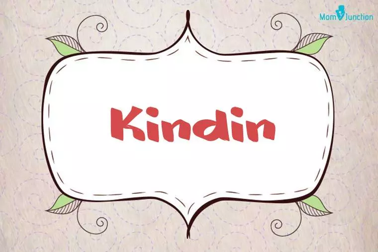 Kindin Stylish Wallpaper