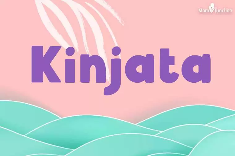 Kinjata Stylish Wallpaper