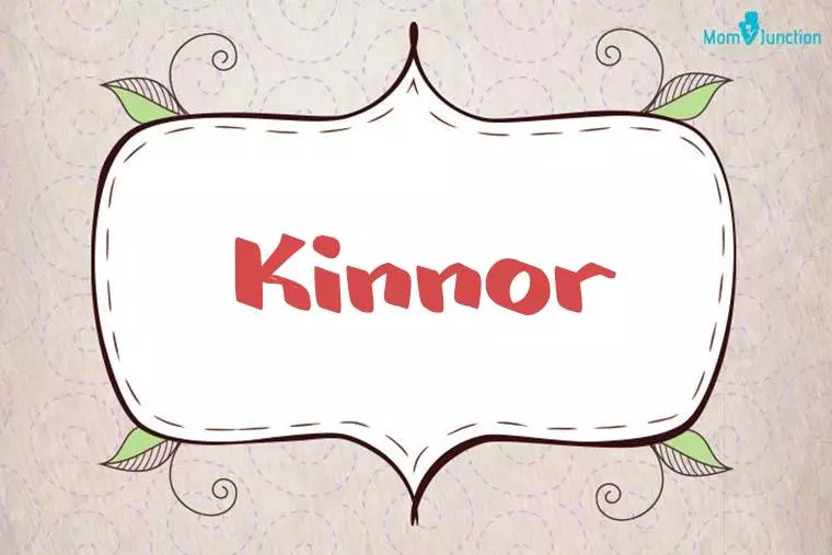 Kinnor Stylish Wallpaper