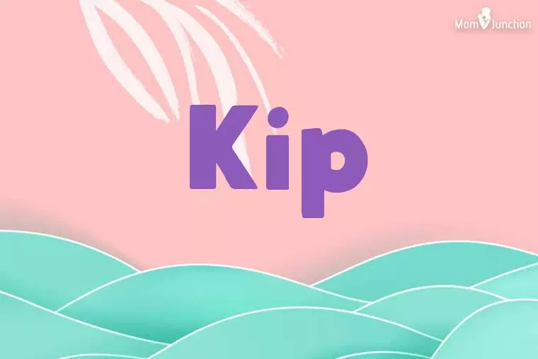 Kip Stylish Wallpaper