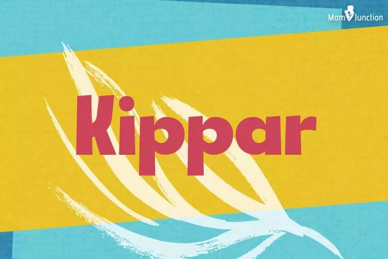 Kippar Stylish Wallpaper