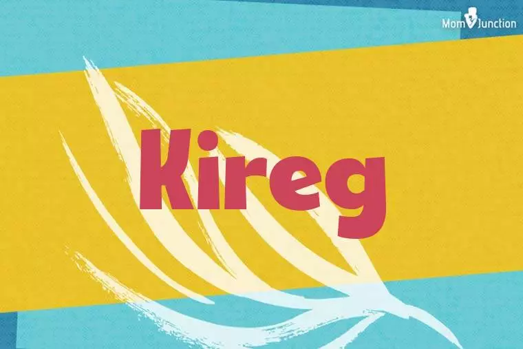 Kireg Stylish Wallpaper