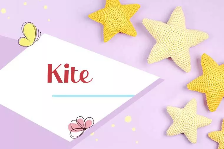 Kite Stylish Wallpaper