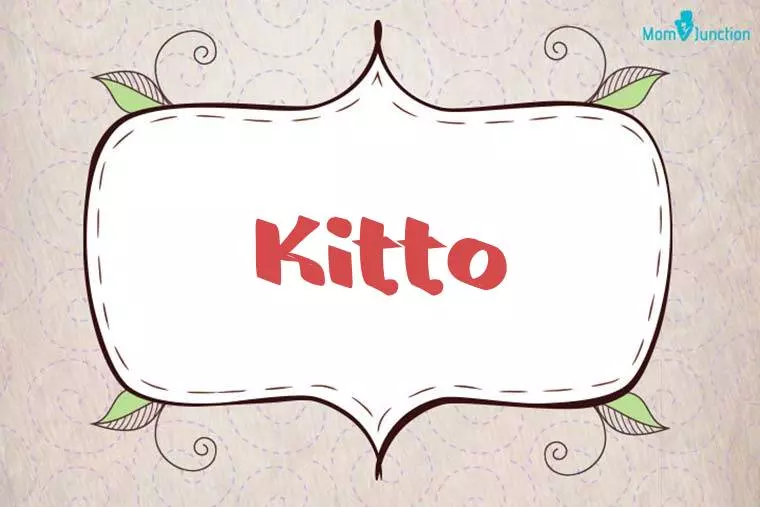 Kitto Stylish Wallpaper