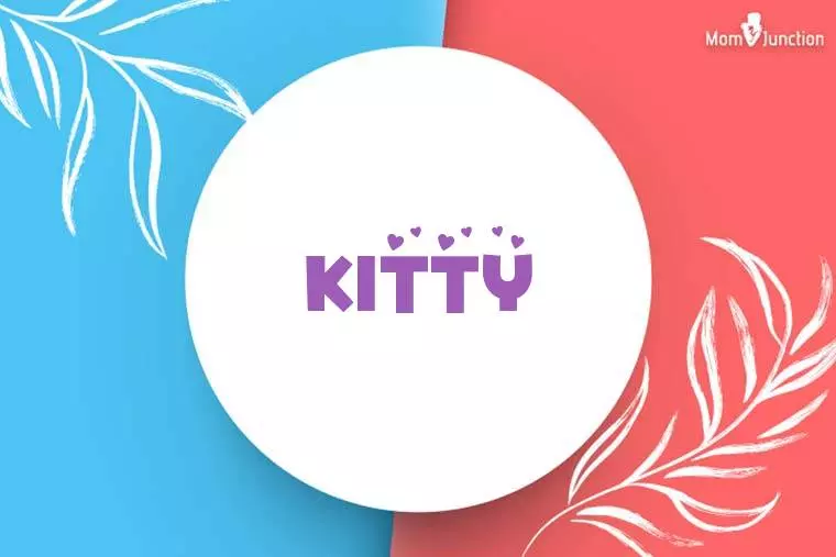 Kitty Stylish Wallpaper