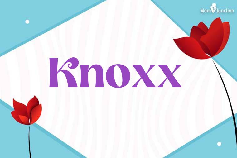 Knoxx 3D Wallpaper