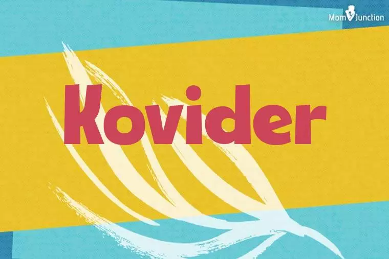 Kovider Stylish Wallpaper