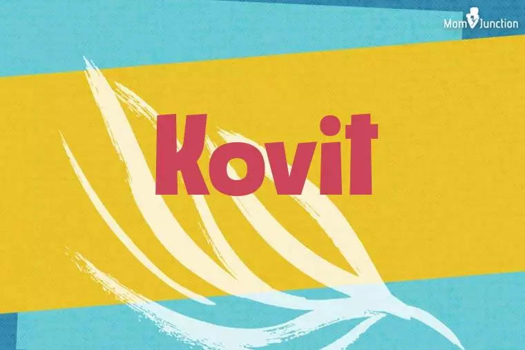 Kovit Stylish Wallpaper