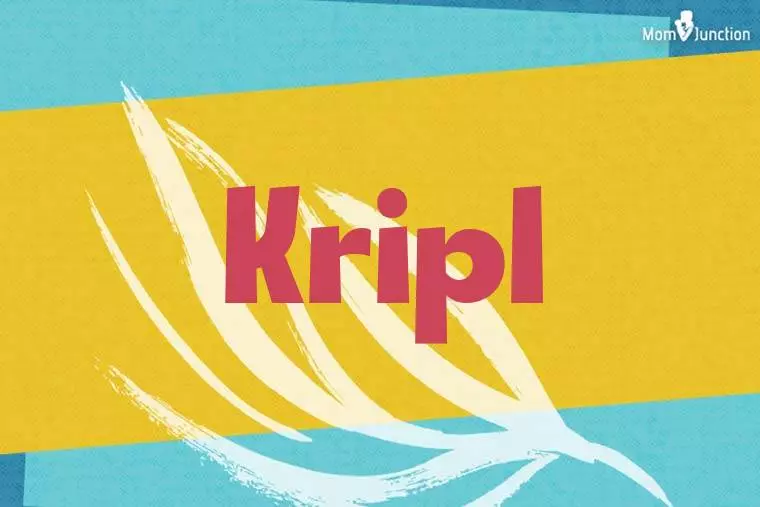 Kripl Stylish Wallpaper