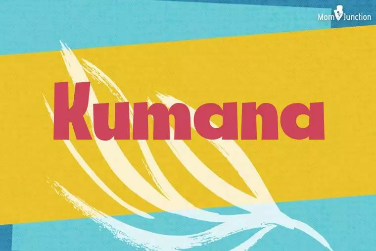 Kumana Stylish Wallpaper