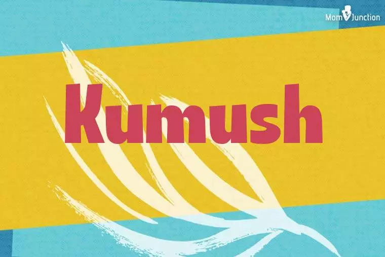 Kumush Stylish Wallpaper