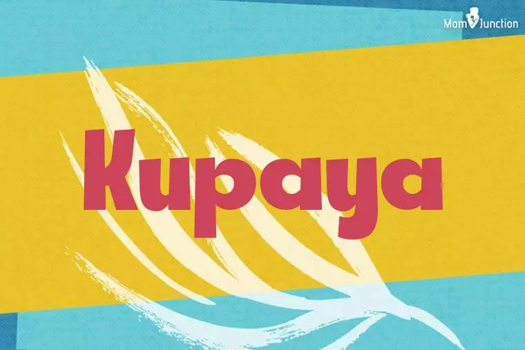 Kupaya Stylish Wallpaper