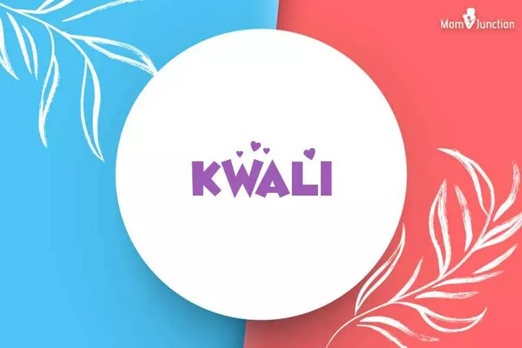 Kwali Stylish Wallpaper