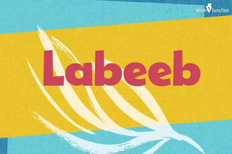 Labeeb Stylish Wallpaper