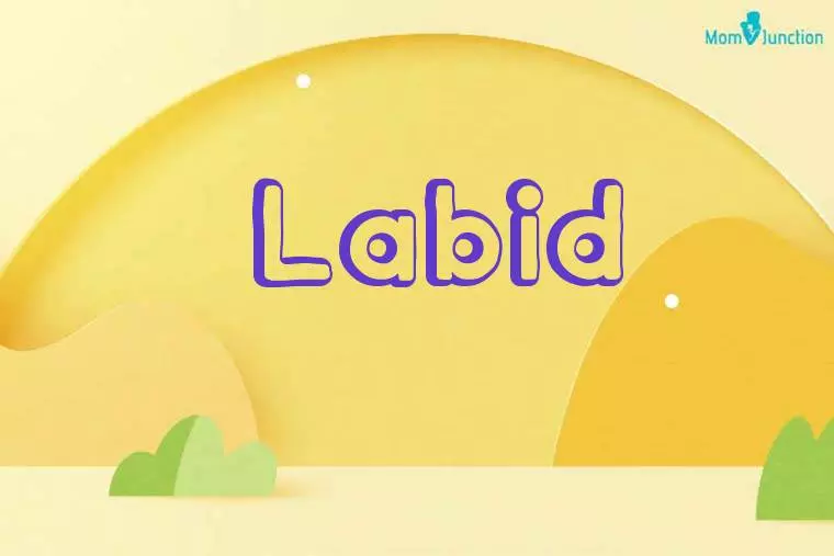 Labid 3D Wallpaper