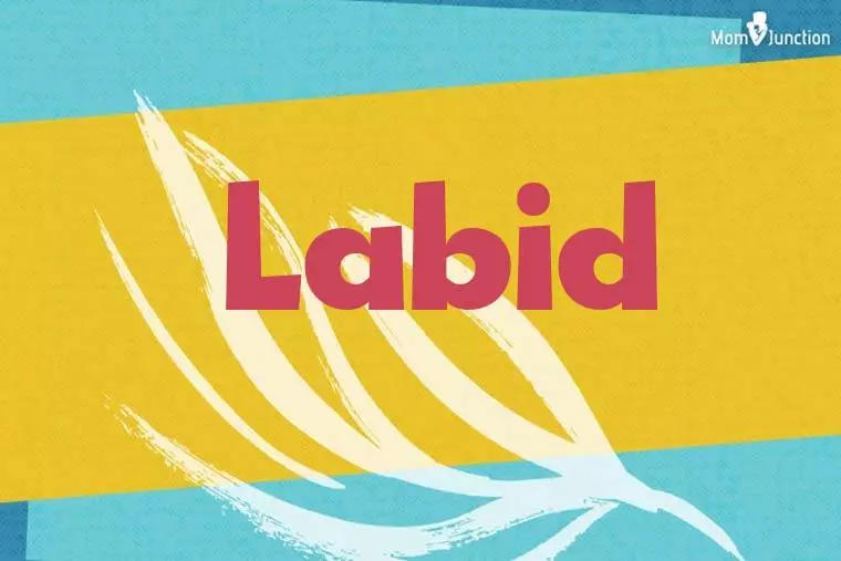 Labid Stylish Wallpaper