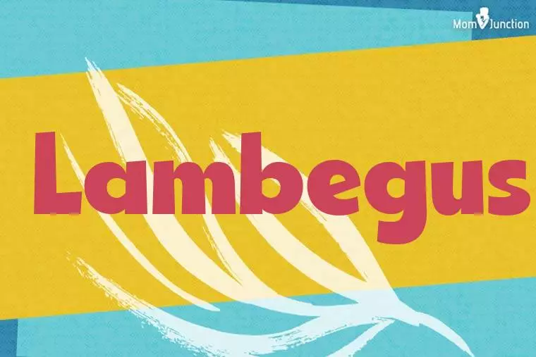 Lambegus Stylish Wallpaper