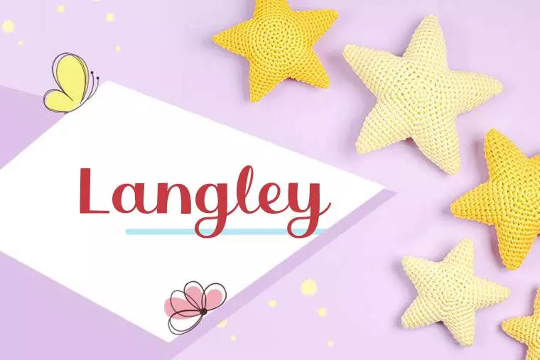 Langley Stylish Wallpaper