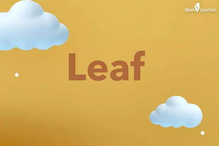 Leaf 3D Wallpaper