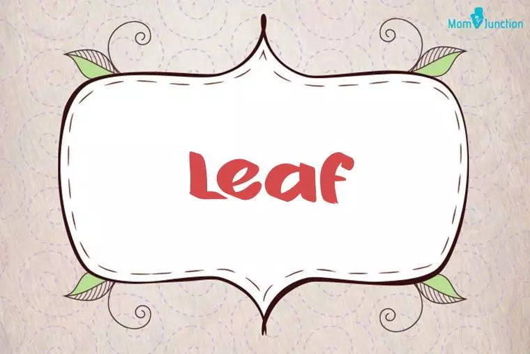 Leaf Stylish Wallpaper