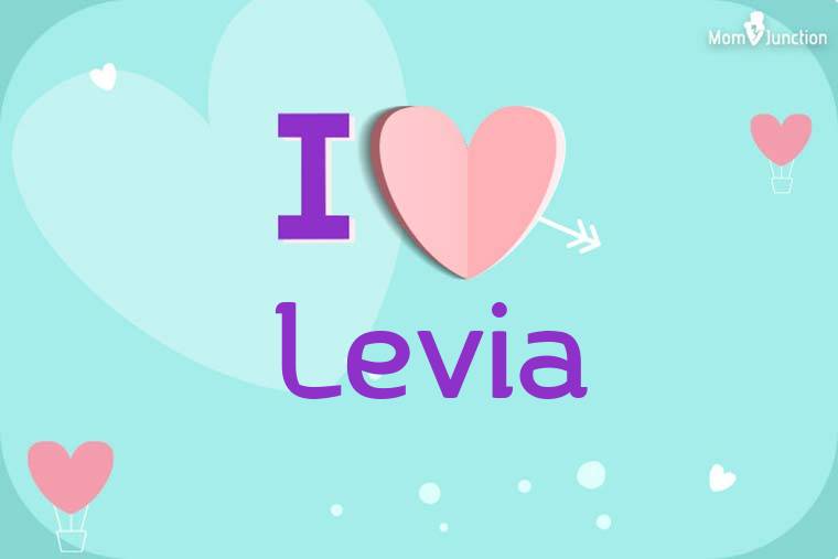 I Love Levia Wallpaper