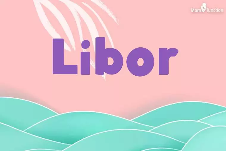 Libor Stylish Wallpaper