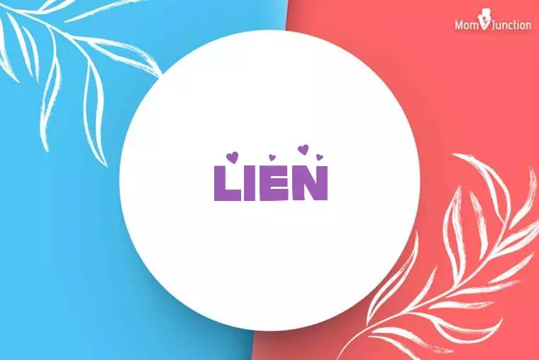 Lien Stylish Wallpaper